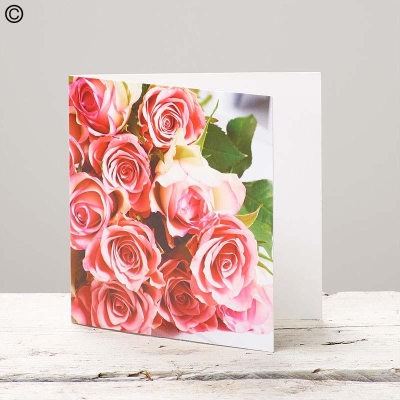 Pink Rose Blank Greetings Card