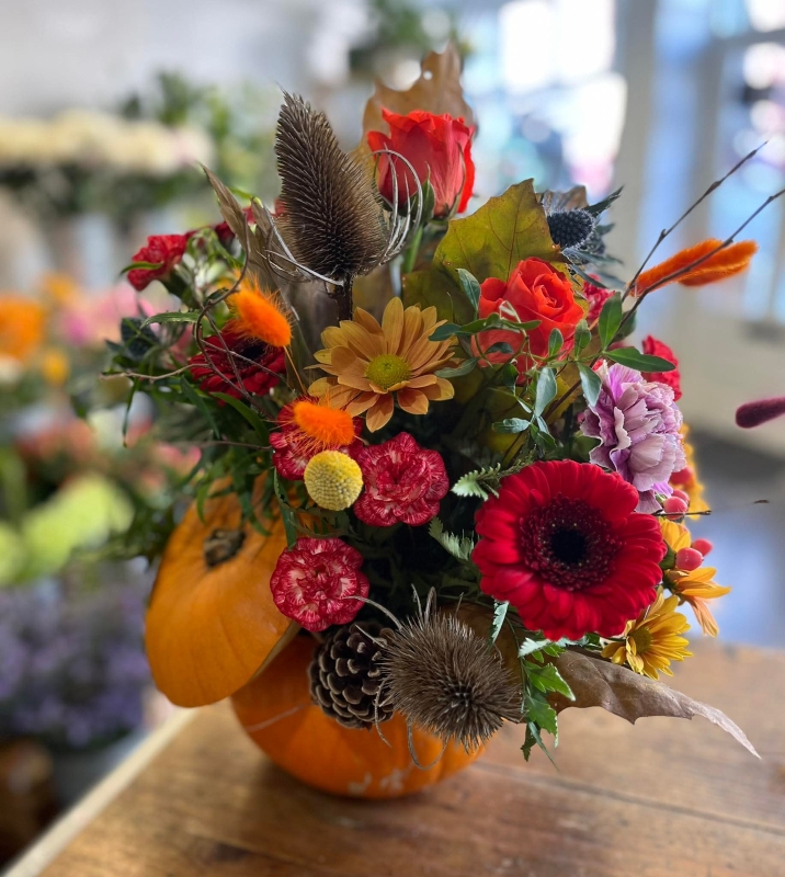 Floral Pumpkin Workshop 29th october 2026   Ashbourne Store