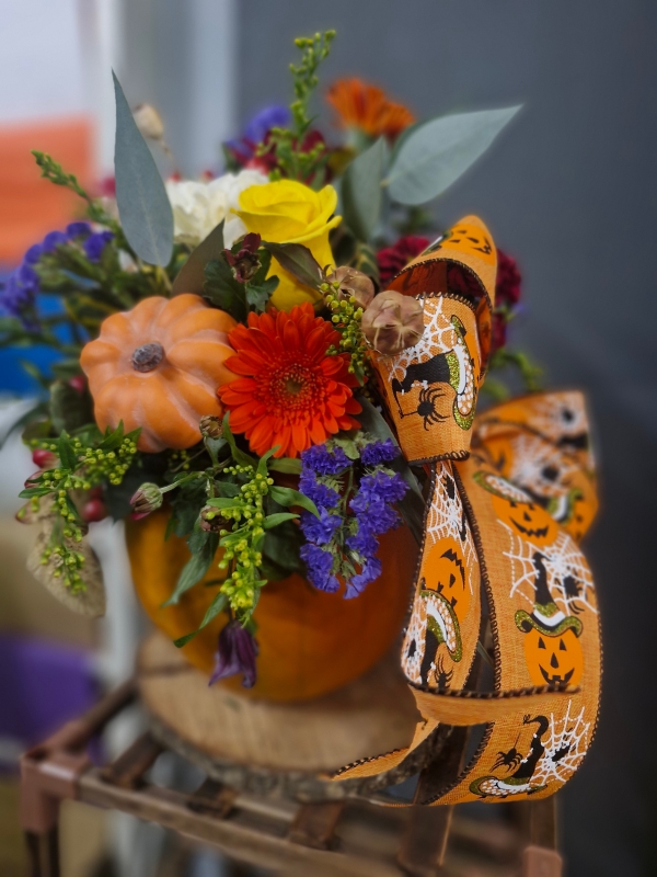 Floral Pumpkin Workshop 29th october 2026   Ashbourne Store
