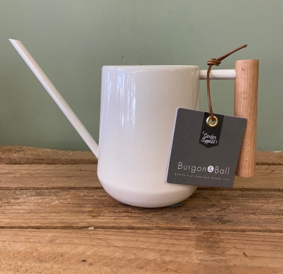 Stone Indoor Watering Can