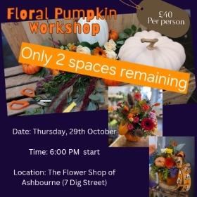 Floral Pumpkin Workshop 29th october 2026   Ashbourne Store