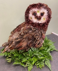 Owl Tribute
