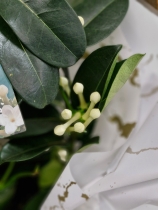 Stephenosis plant in ceramic