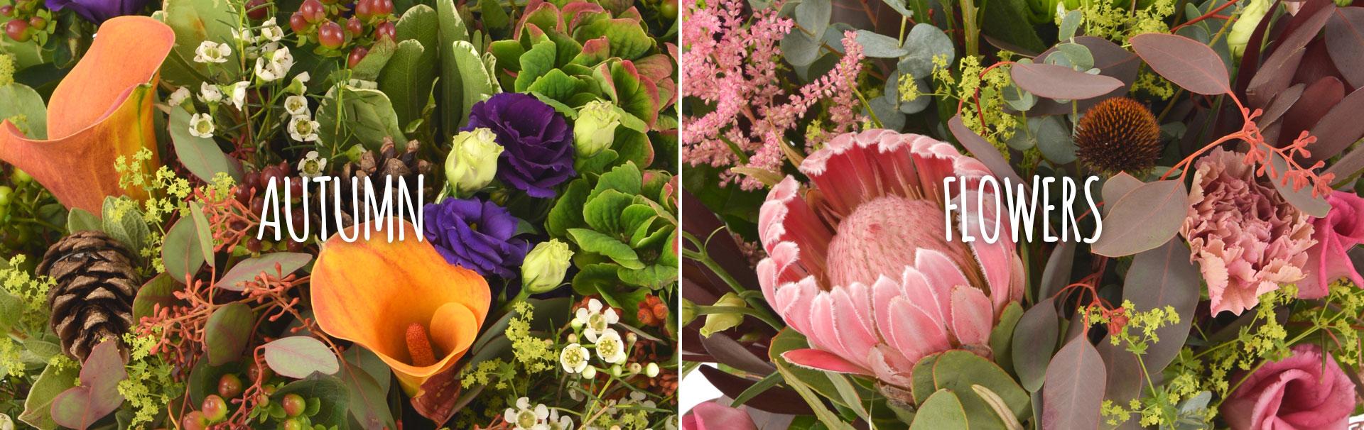 Ashbourne Florist order before 2pm for same day delivery